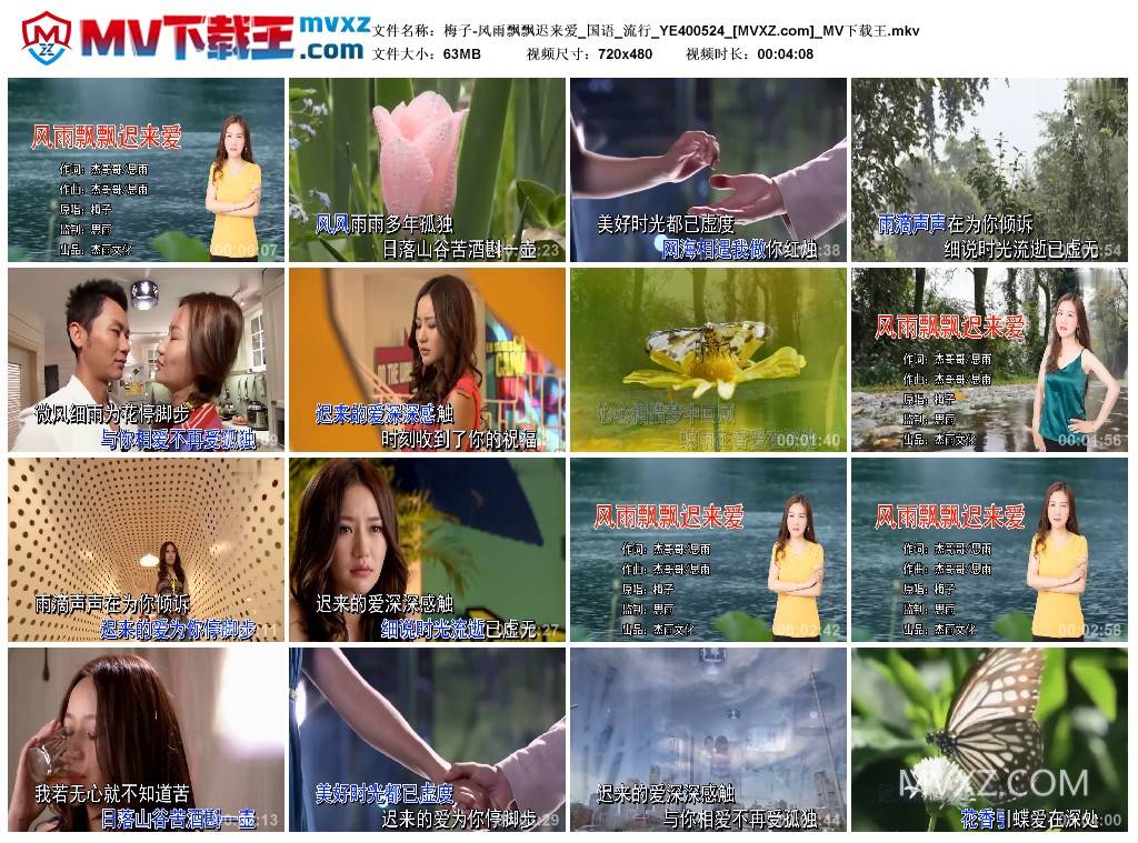 梅子-风雨飘飘迟来爱_国语_流行_YE400524